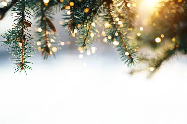 Ветки Рождественской Елки Огнями Снежном Фоне — стоковое фото