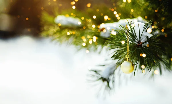 Takken Kerstboom Met Verlichting Sneeuw Achtergrond Rechtenvrije Stockfoto's