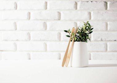 Masada yeşil dallı bambu diş fırçaları, sağlık konsepti