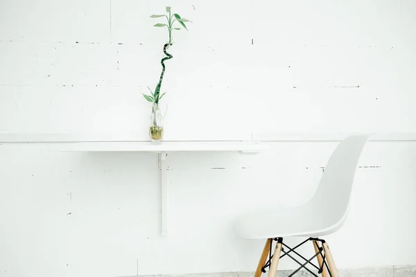 Gren Bambu Bordet Minimalism Koncept Interiör Vit Stil — Stockfoto