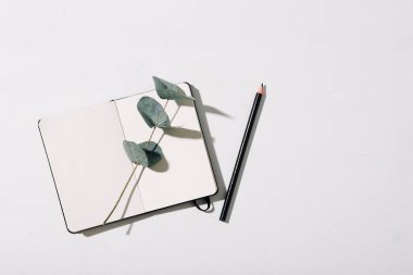 Beyaz arkaplan üzerine bir defter okaliptüs dalı ve yazmak için bir kalem, üst görünüm