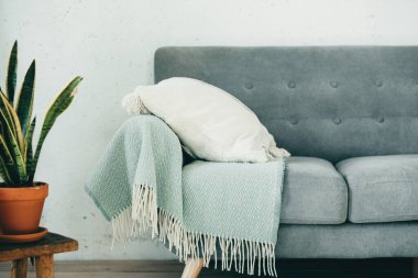 Modern bir odada ev yapımı fabrika.