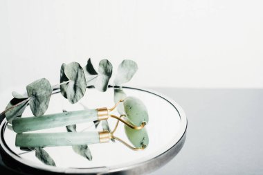 Çiçek açan dal ve ayna