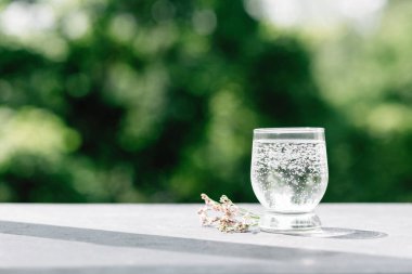 Güneş altında soğuk soda bardağı.