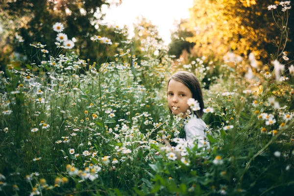 Lány a mezőn százszorszépekkel — Stock Fotó