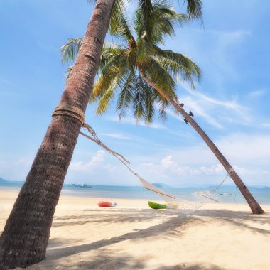 Hamak tropikal plaj zemin üzerine Hindistan cevizi palmiye ağaçları