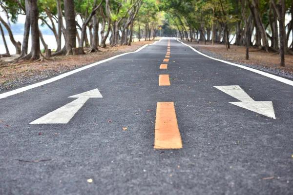 沥青路面与自然树隧道和在路面上的白色箭头标志 — 图库照片