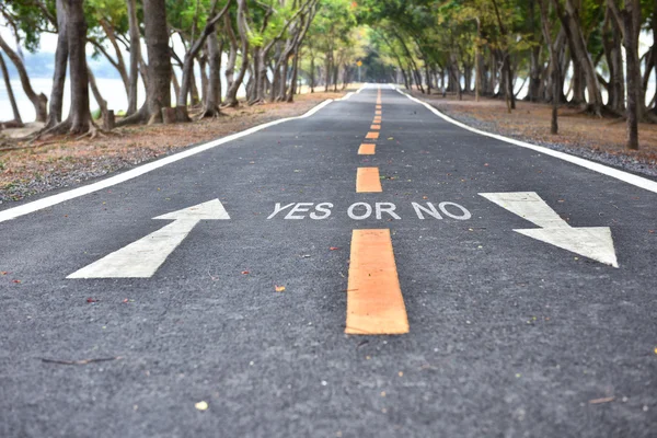 Yes or No words with white arrow sign marking on road surface, business idea — Stock Photo, Image