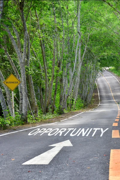 Words of opportunity on road surface, business road concept — Stock Photo, Image