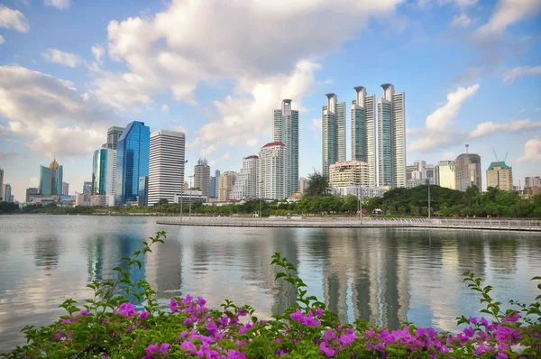 BANGKOK, TAILÂNDIA - JULHO 11: Bela vista do Parque Benchakitti à tarde que localizado sob Ratchadaphisek Road em BANGKOK TERRA em JULHO 11, 2015 — Fotografia de Stock