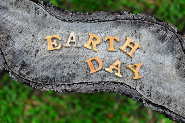 Wooden earth day word on wood log background — Stock Photo, Image