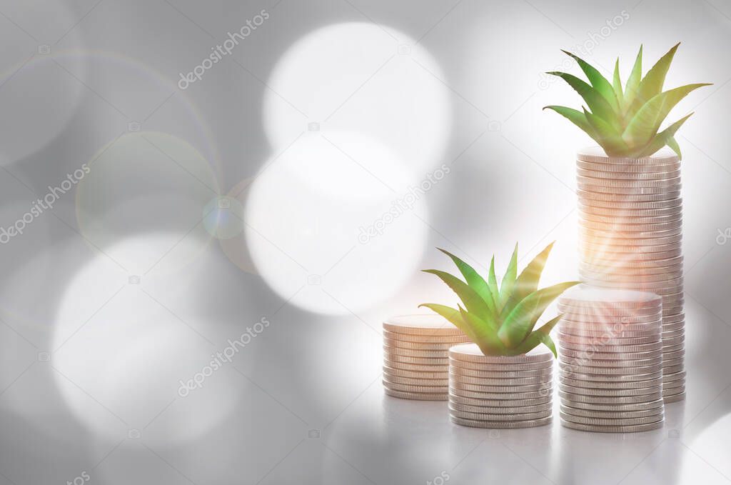 Stack of coins with succulents plant glowing on abstract background. Saving with return on investment concept and sustainable economic growth idea