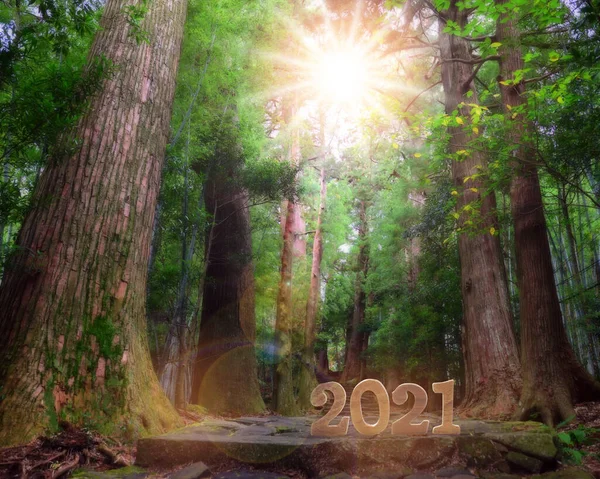 2021 햇빛을 지나는 해입니다 개념과 아이디어 — 스톡 사진