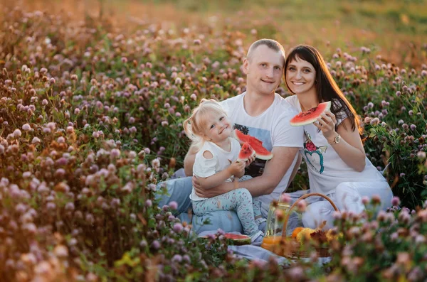 Neşeli bir aile parkta piknik yaparken çimlerin üzerinde oturur. Yiyecek ve karpuz dolu bir sepet vardır..