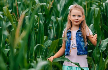 Gün batımının kasvetli ışığında kırsal bir alanda, uzun mısır bitkilerinin arasında genç sarışın bir kızın portresi. Mısır tarlasında yeşil yaprakların arasında bir kız.