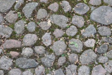 Arka plan olarak taş yol. Eski duvarcılık.