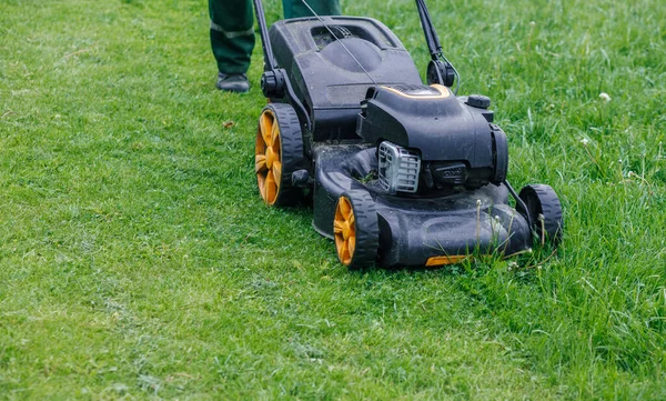 Bahçedeki yeşil çimlerin üzerinde çim biçme makinesi. Bahçıvanlar için Gozon muhafızı.