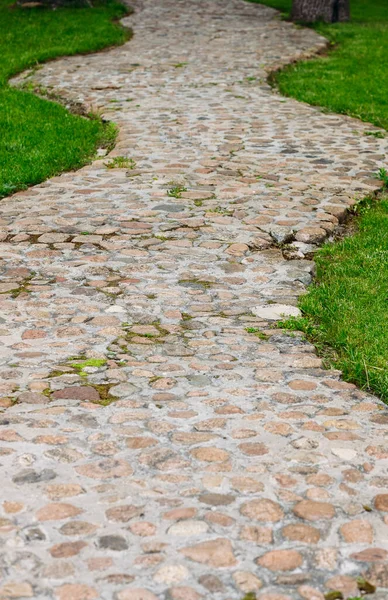 Beautiful winding stone path in the park. Vertical shot