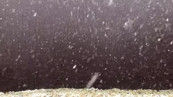Sneen falder hurtigt. – Stock-video