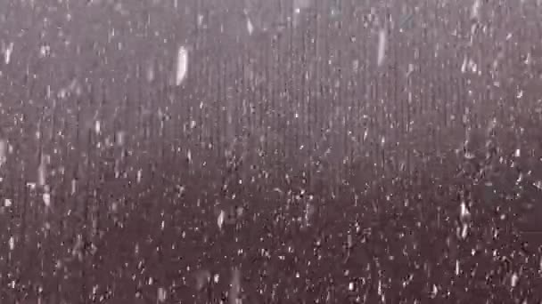 La neige tombe vite. — Video