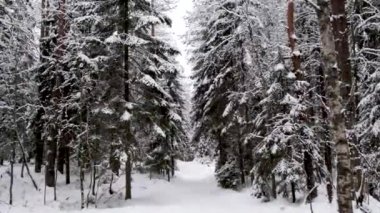 Kar yavaşça düşüyor..