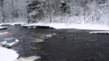 Kış ormanında derin karanlık nehir.