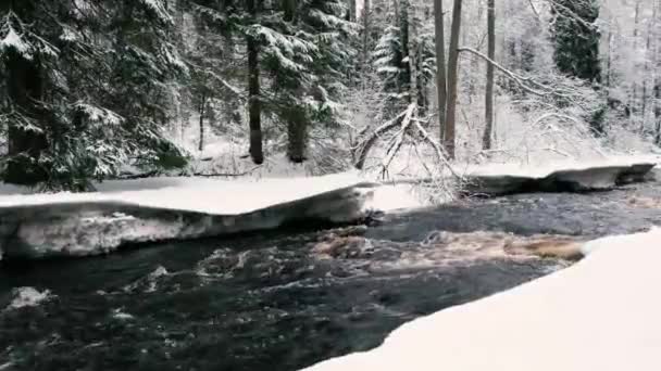 Mély sötét folyó a téli erdőben. — Stock videók