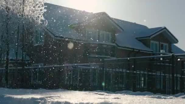 Snow flakes falls down. — Stock Video