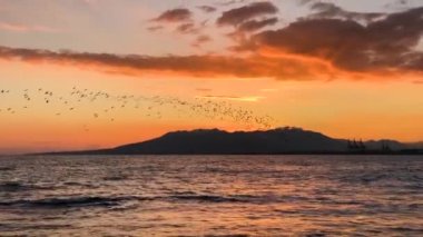 The raid waves of the sea at sunset of the day. 