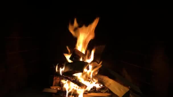 Dřevěné klády v hořícím krbu. — Stock video