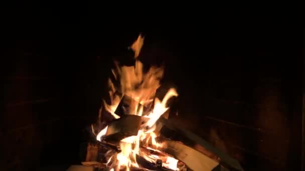 Houten stammen in brandende open haard. — Stockvideo