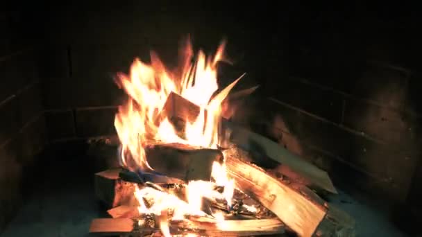 Holzstämme im brennenden Kamin. — Stockvideo