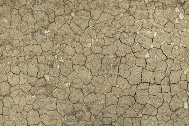 kahverengi kuru kırık zemin.