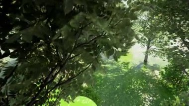 Yeşil Ağaçlı 2021