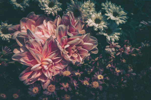 Φόντο Του Λουλουδιού Εκλεκτής Ποιότητας — Φωτογραφία Αρχείου
