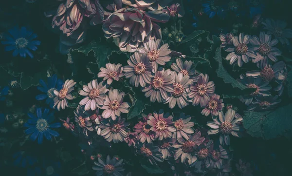 Çiçek tarlası arka planı. Klasik stil