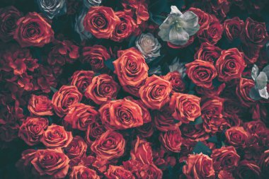 Güzel bir suni kırmızı güller ve beyaz çiçekler her kutlama için mükemmel bir şenlik duvarı oluşturuyor..