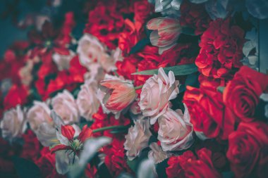 Yapay çiçeklerden oluşan canlı bir duvar. Öncelikle kırmızı ve pembe. Kutlama için şenlikli bir zemin oluşturuyor..