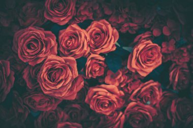 Romantik bir kutlama ya da zarif bir arkaplan için mükemmel, zengin kırmızı yapay güller sergisi..