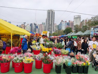 12 Şubat 2026 - Hong Kong, Çin: Hong Kong 'daki Victoria Park, 2026' da Ay Yeni Yılı boyunca canlı, hareketli bir çiçek pazarı sahnesi.