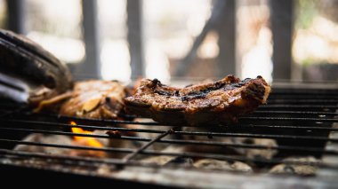 Piknik partisinde sıcak dumanlı mangalda pişirilmiş sosla marine edilmiş çiğ kuzu etinin yakın görüntüsü. Önplanda seçmeli odak.