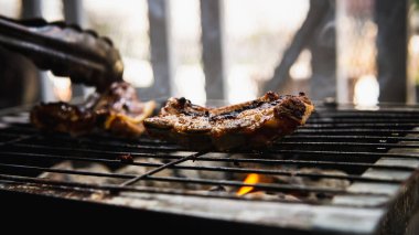 Piknik partisinde sıcak dumanlı kömür ızgarasında pişirilmiş metal maşayla sosla marine edilmiş çiğ kuzu eti tutan eli yakından izleyin. Önplanda seçmeli odak.