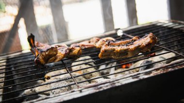 Piknik partisinde sıcak dumanlı mangalda pişirilmiş sosla marine edilmiş çiğ kuzu etinin yakın görüntüsü. Önplanda seçmeli odak.