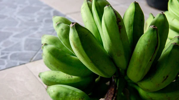近景年轻的未成熟绿色萨坝香蕉或皮桑尼帕 水果食品 当地新鲜商品 供日常消费 它是一种原产于菲律宾的三倍体杂交香蕉品种 — 图库照片#