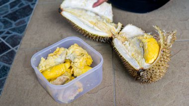 El, Durian meyvesini açtı ve 