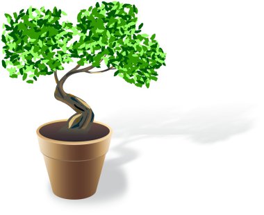 Küçük bonsai ve gölge ile kahverengi saksı