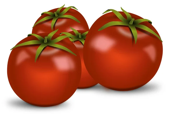 Banda stínovaný rajčat — Stock fotografie