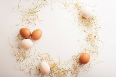 Paskalya çelengi kuru otlar ve beyaz arka planda yumurtalar Paskalya konsepti. Metin için yeri olan Paskalya kartı.