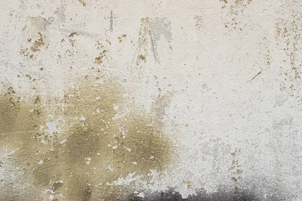 Metnin arka planı olarak eski beyaz beton duvar. Boşluğu kopyala.