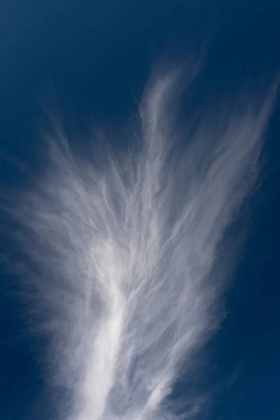 Białe chmury piór w postaci ogona na tle niebieskiego nieba. pionowy obraz nieba. przestrzeń kopiowania — Zdjęcie stockowe
